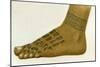 Example of Dayak Foot Tattoo Designs, Borneo, 1894-null-Mounted Giclee Print