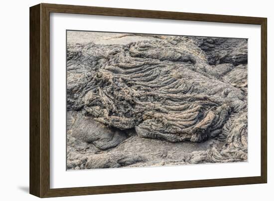 Example of Pahoehoe Lava on Fernandina Island, Galapagos Islands, Ecuador, South America-Michael Nolan-Framed Photographic Print