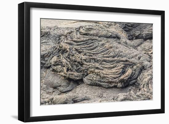 Example of Pahoehoe Lava on Fernandina Island, Galapagos Islands, Ecuador, South America-Michael Nolan-Framed Photographic Print