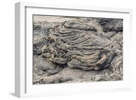 Example of Pahoehoe Lava on Fernandina Island, Galapagos Islands, Ecuador, South America-Michael Nolan-Framed Photographic Print