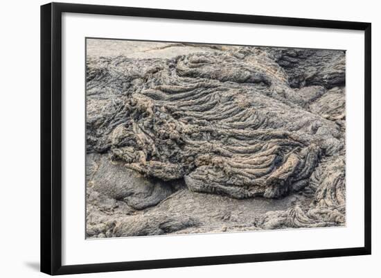 Example of Pahoehoe Lava on Fernandina Island, Galapagos Islands, Ecuador, South America-Michael Nolan-Framed Photographic Print