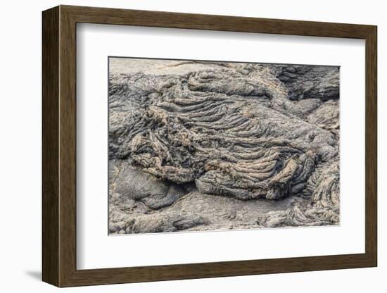 Example of Pahoehoe Lava on Fernandina Island, Galapagos Islands, Ecuador, South America-Michael Nolan-Framed Photographic Print