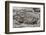 Example of Pahoehoe Lava on Fernandina Island, Galapagos Islands, Ecuador, South America-Michael Nolan-Framed Photographic Print