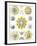 Examples of Polycyttaria 'Kunstformen Der Natur', 1899-Ernst Haeckel-Framed Giclee Print