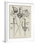 Examples of Sixteenth Century Rapiers and Daggers-null-Framed Giclee Print