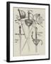 Examples of Sixteenth Century Rapiers and Daggers-null-Framed Giclee Print