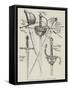 Examples of Sixteenth Century Rapiers and Daggers-null-Framed Stretched Canvas