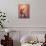 Excalibur-Judy Mastrangelo-Mounted Giclee Print displayed on a wall