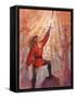 Excalibur-Judy Mastrangelo-Framed Stretched Canvas