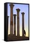 Excavated Roman City, Volubilis, Morocco, North Africa-Neil-Framed Stretched Canvas