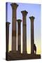 Excavated Roman City, Volubilis, Morocco, North Africa-Neil-Stretched Canvas