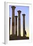 Excavated Roman City, Volubilis, Morocco, North Africa-Neil-Framed Photographic Print