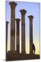 Excavated Roman City, Volubilis, Morocco, North Africa-Neil-Mounted Photographic Print