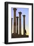 Excavated Roman City, Volubilis, Morocco, North Africa-Neil-Framed Photographic Print