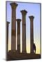 Excavated Roman City, Volubilis, Morocco, North Africa-Neil-Mounted Photographic Print