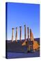 Excavated Roman City, Volubilis, UNESCO World Heritage Site, Morocco, North Africa, Africa-Neil Farrin-Stretched Canvas