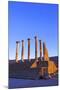 Excavated Roman City, Volubilis, UNESCO World Heritage Site, Morocco, North Africa, Africa-Neil Farrin-Mounted Photographic Print