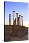 Excavated Roman City, Volubilis, UNESCO World Heritage Site, Morocco, North Africa, Africa-Neil Farrin-Stretched Canvas