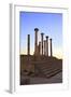 Excavated Roman City, Volubilis, UNESCO World Heritage Site, Morocco, North Africa, Africa-Neil Farrin-Framed Photographic Print