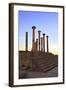 Excavated Roman City, Volubilis, UNESCO World Heritage Site, Morocco, North Africa, Africa-Neil Farrin-Framed Photographic Print