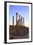 Excavated Roman City, Volubilis, UNESCO World Heritage Site, Morocco, North Africa, Africa-Neil Farrin-Framed Photographic Print