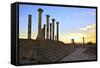 Excavated Roman City, Volubilis, UNESCO World Heritage Site, Morocco, North Africa, Africa-Neil-Framed Stretched Canvas