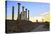 Excavated Roman City, Volubilis, UNESCO World Heritage Site, Morocco, North Africa, Africa-Neil-Stretched Canvas