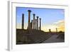 Excavated Roman City, Volubilis, UNESCO World Heritage Site, Morocco, North Africa, Africa-Neil-Framed Photographic Print
