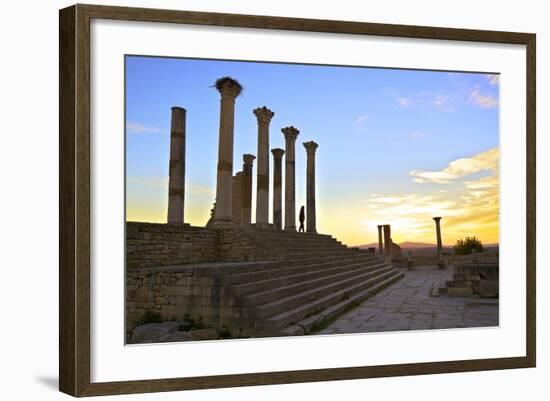 Excavated Roman City, Volubilis, UNESCO World Heritage Site, Morocco, North Africa, Africa-Neil-Framed Photographic Print