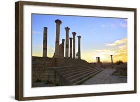 Excavated Roman City, Volubilis, UNESCO World Heritage Site, Morocco, North Africa, Africa-Neil-Framed Photographic Print