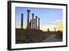 Excavated Roman City, Volubilis, UNESCO World Heritage Site, Morocco, North Africa, Africa-Neil-Framed Photographic Print