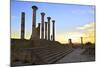 Excavated Roman City, Volubilis, UNESCO World Heritage Site, Morocco, North Africa, Africa-Neil-Mounted Photographic Print