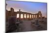 Excavated Roman City, Volubilis, UNESCO World Heritage Site, Morocco, North Africa, Africa-Neil Farrin-Mounted Photographic Print