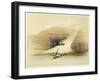 Excavated Temple of Abu Simbel, Nubia, Egypt, c1845-David Roberts-Framed Giclee Print