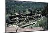 Excavation of Acropolis of ancient Sparta (Lakedaimon), c20th century-CM Dixon-Mounted Photographic Print