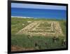 Excavations, Ancient Caulonia, Monasterace, Calabria, Italy-null-Framed Giclee Print