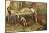 Excavations of Ercolano-Giuseppe Palizzi-Mounted Giclee Print