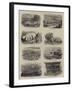 Excavations of the Temple of Minerva at Priene, Asia Minor-null-Framed Giclee Print