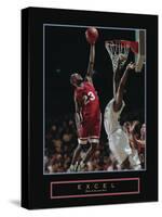 Excel - Basketball-Unknown Unknown-Stretched Canvas