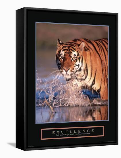 Excellence-null-Framed Stretched Canvas