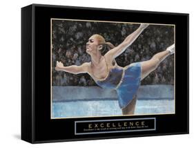 Excellence-null-Framed Stretched Canvas