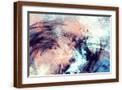 Brown Frame