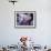 Excellent Close Up of the Spotted Bat-Nina Leen-Framed Photographic Print displayed on a wall