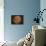 Excellent Closeup of a Full Moon-null-Framed Stretched Canvas displayed on a wall