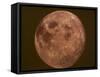 Excellent Closeup of a Full Moon-null-Framed Stretched Canvas