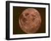 Excellent Closeup of a Full Moon-null-Framed Premium Photographic Print