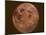 Excellent Closeup of a Full Moon-null-Mounted Premium Photographic Print