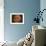 Excellent Closeup of a Full Moon-null-Framed Photographic Print displayed on a wall