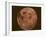 Excellent Closeup of a Full Moon-null-Framed Photographic Print