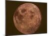 Excellent Closeup of a Full Moon-null-Mounted Photographic Print